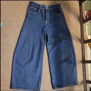 Zara Indigo Denim Trousers